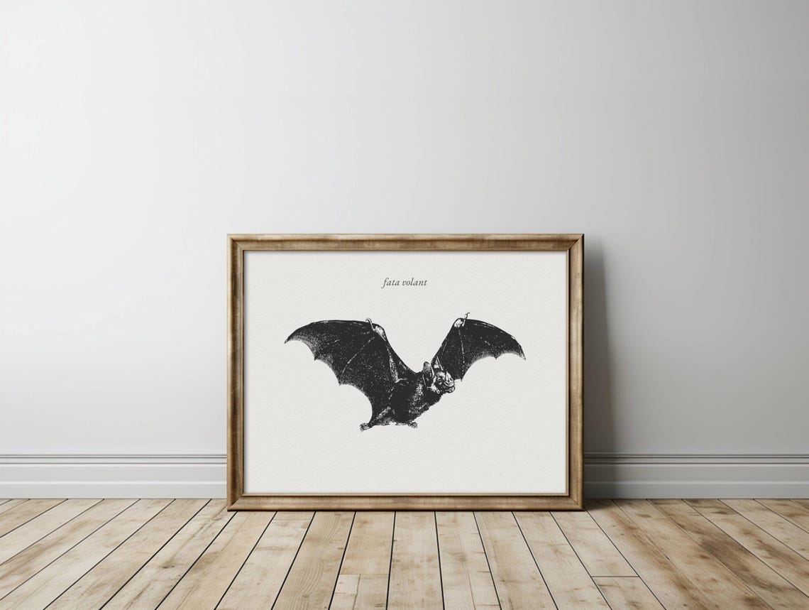 Fata Volant Vintage Bat Engraving Spooky Halloween Naturalist Poster - Image 2