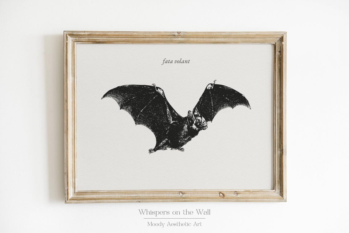 Fata Volant Vintage Bat Engraving Spooky Halloween Naturalist Poster