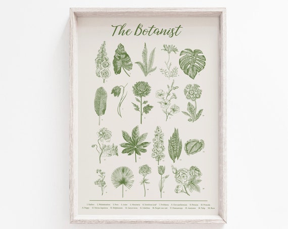 Green Botanical Print, Botanical Wall Art Poster
