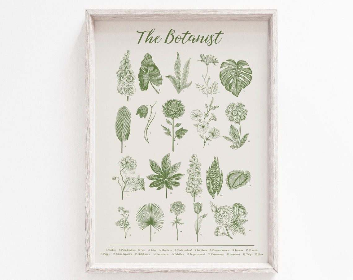 Green Botanical Print, Botanical Wall Art Poster