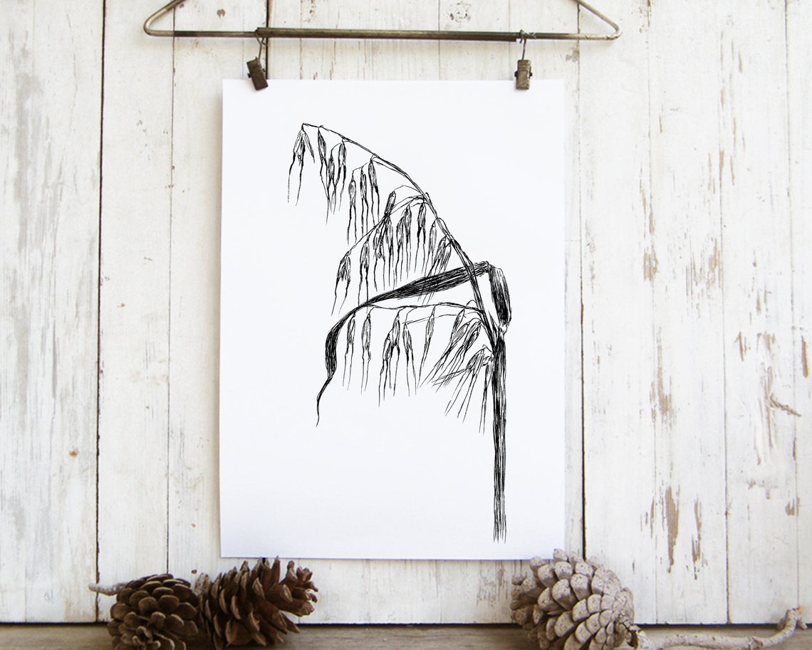 Black and White Minimalist Wheat Grass Botanical Sketch Wall Art