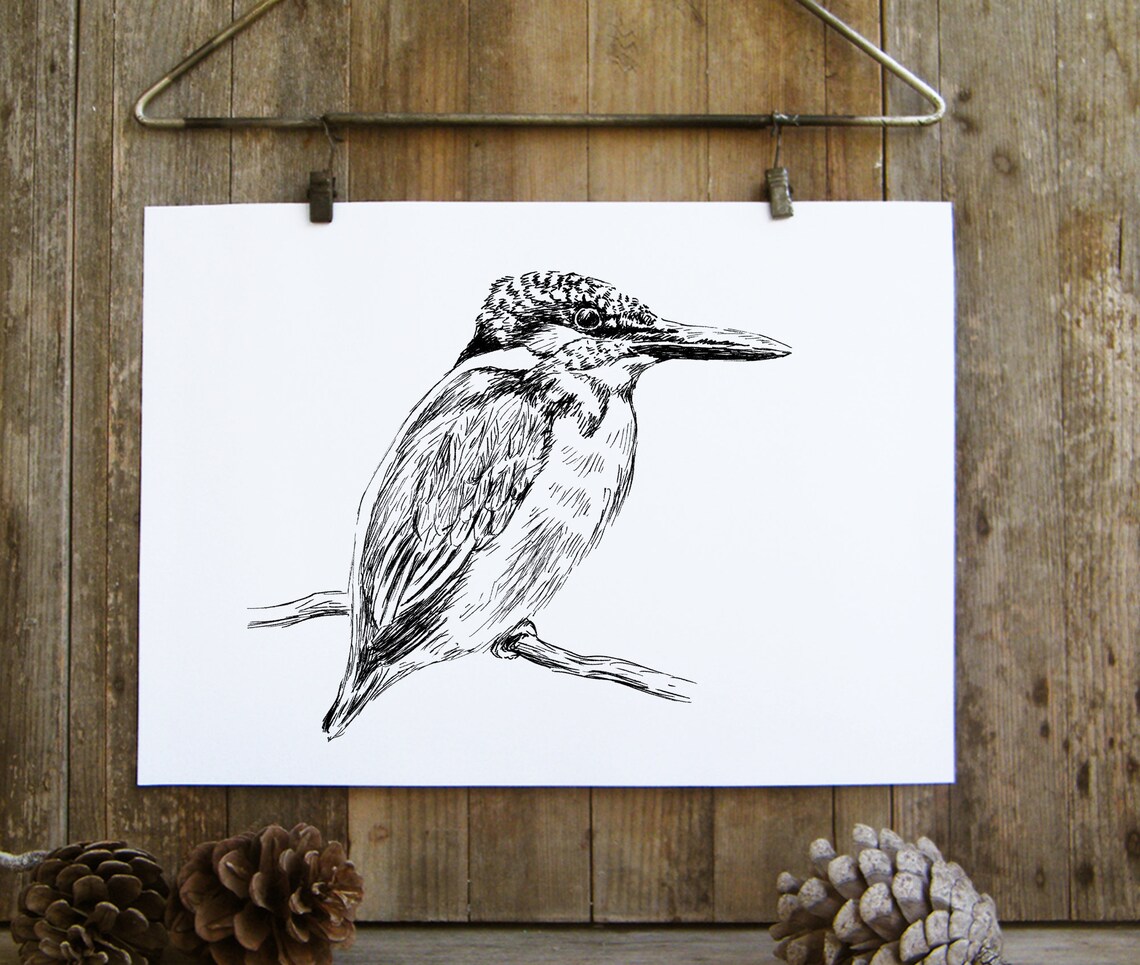 Kingfisher Bird Pen Sketch Wildlife Bird Line Drawing Art Poster - Image 4