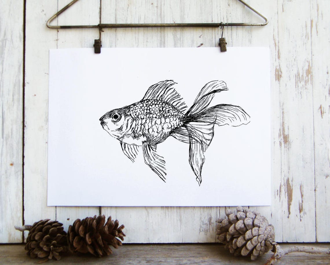 Goldfish Black White Ink Sketch Art Print Minimal Fish Decor - Image 3