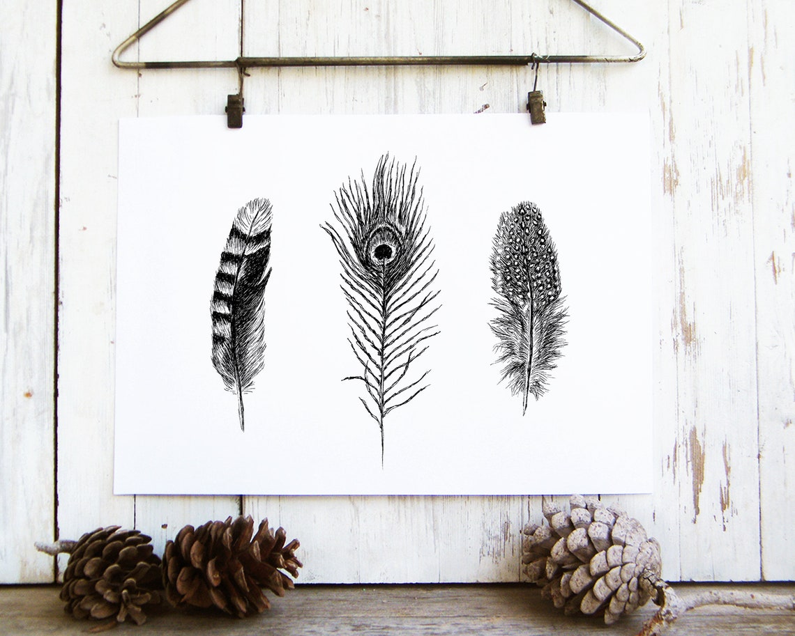 Feather Trio Black And White Botanical Line Illustration Poster - Image 3