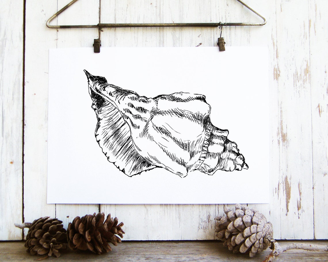 Seashell Ink Drawing Black and White Coastal Shell Beach Art Poster - Image 3