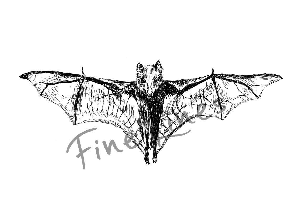 Bat With Spread Wings Ink Sketch Gothic Halloween Animal Art Poster - Image 2