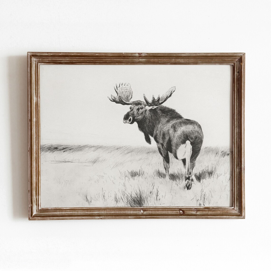 Moose In Field Vintage Wildlife Sketch Art Print