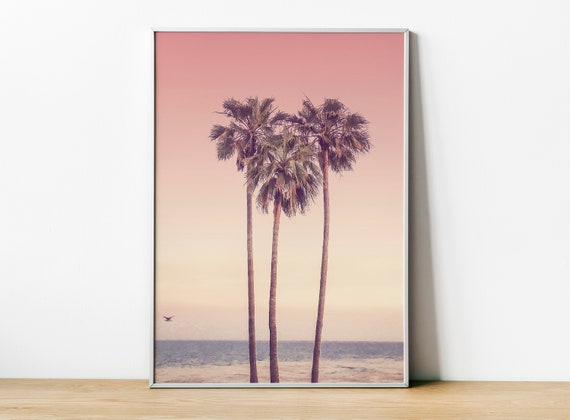 Palm Tree Photography, California Nature Poster