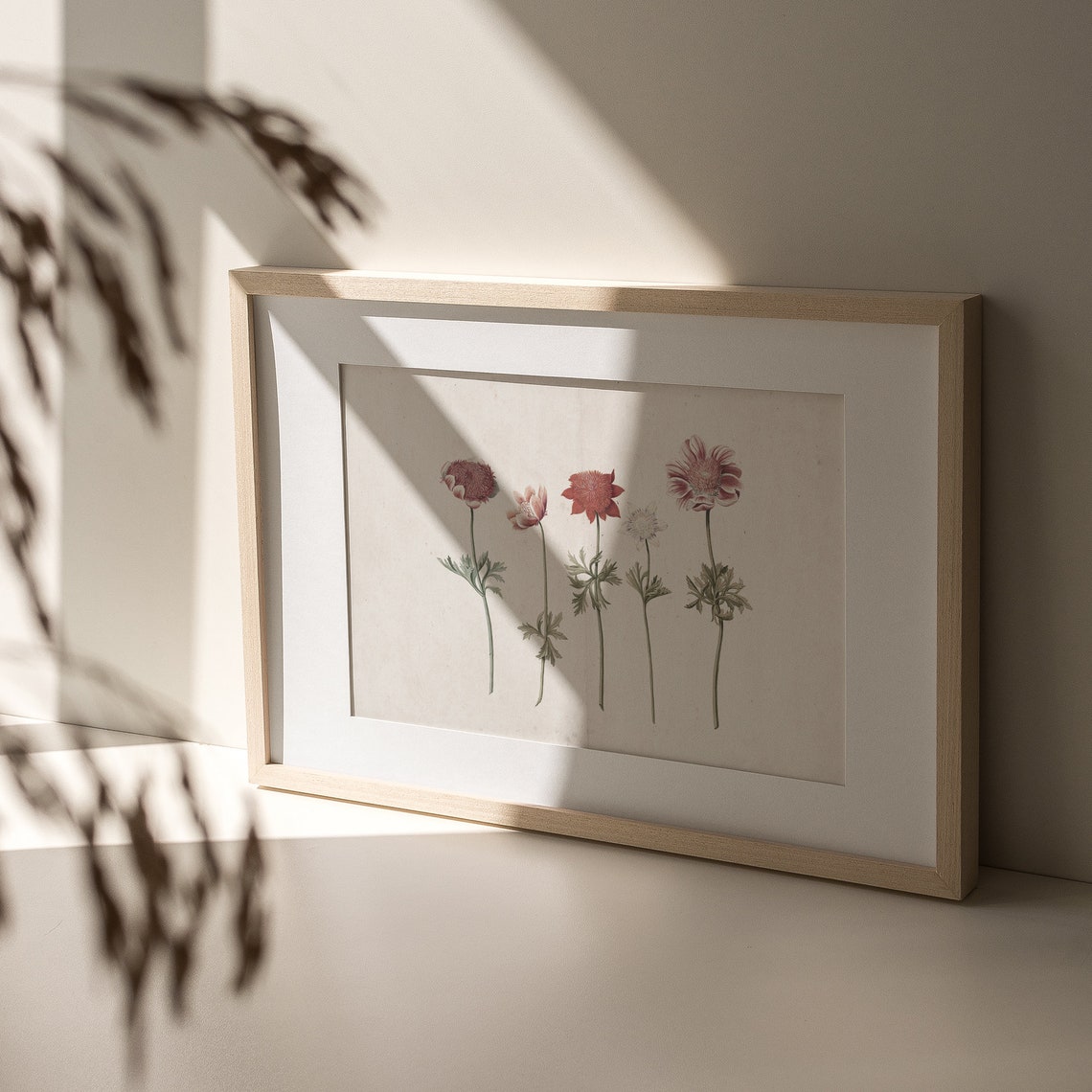Vintage Botanical Plate Five Wildflowers Antique Illustration Poster - Image 3