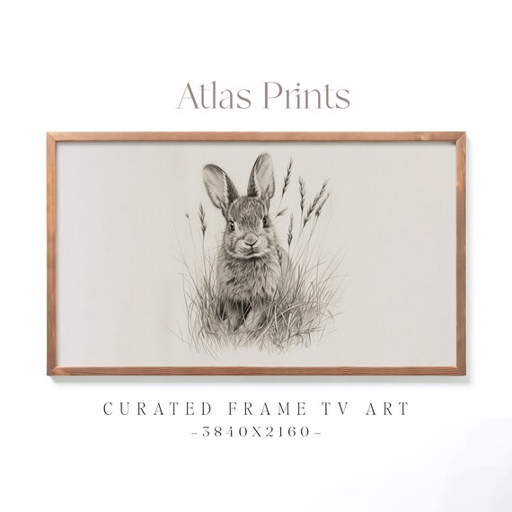 Vintage Spring Bunny Sketch Rabbit Pencil Drawing Easter Decor Poster