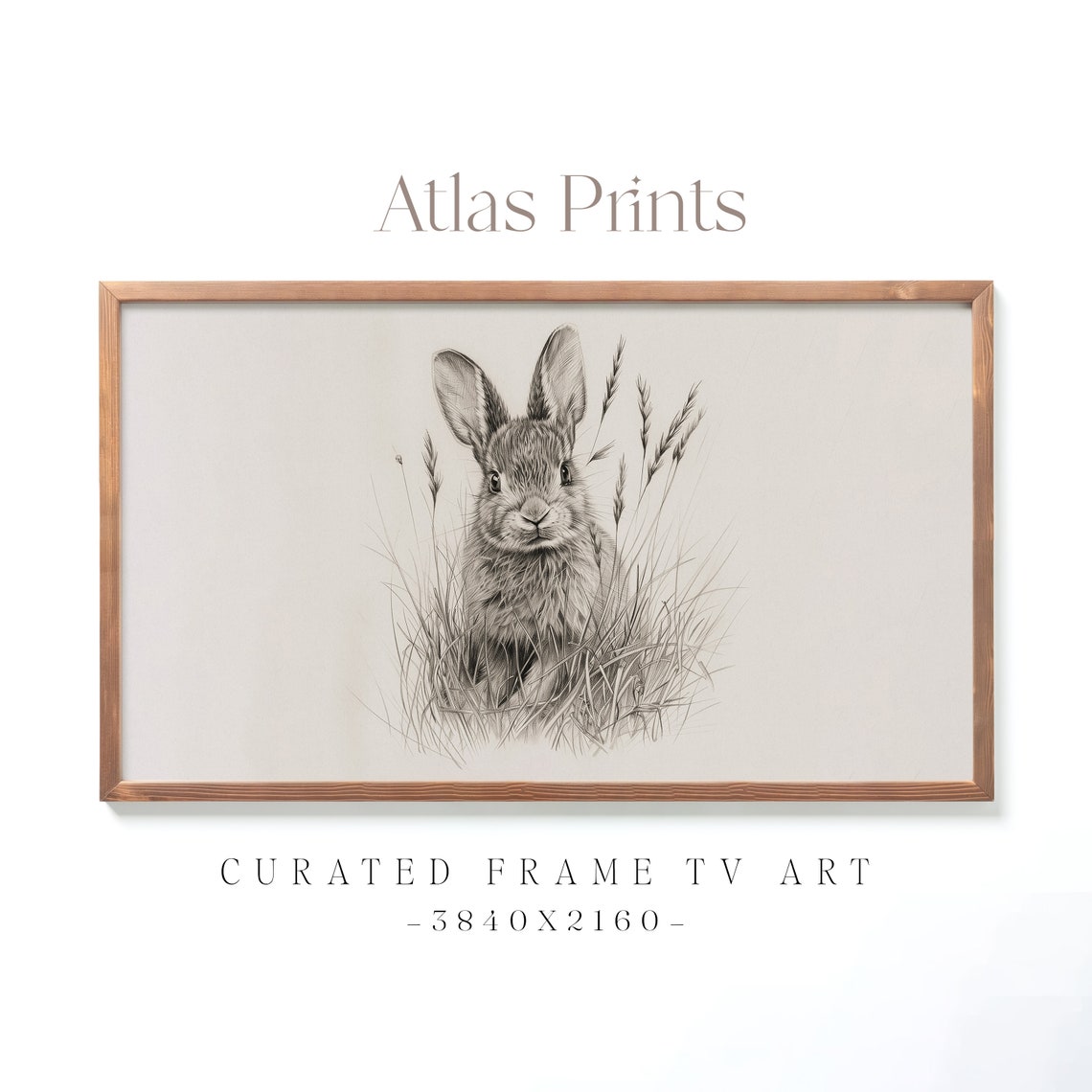Vintage Spring Bunny Sketch Rabbit Pencil Drawing Easter Decor Poster