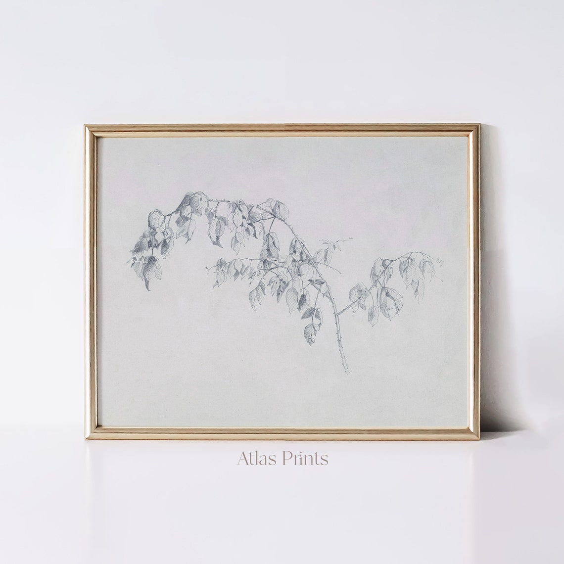 Minimalist Pencil Sketch Leafy Branch Botanical Drawing Neutral Poster