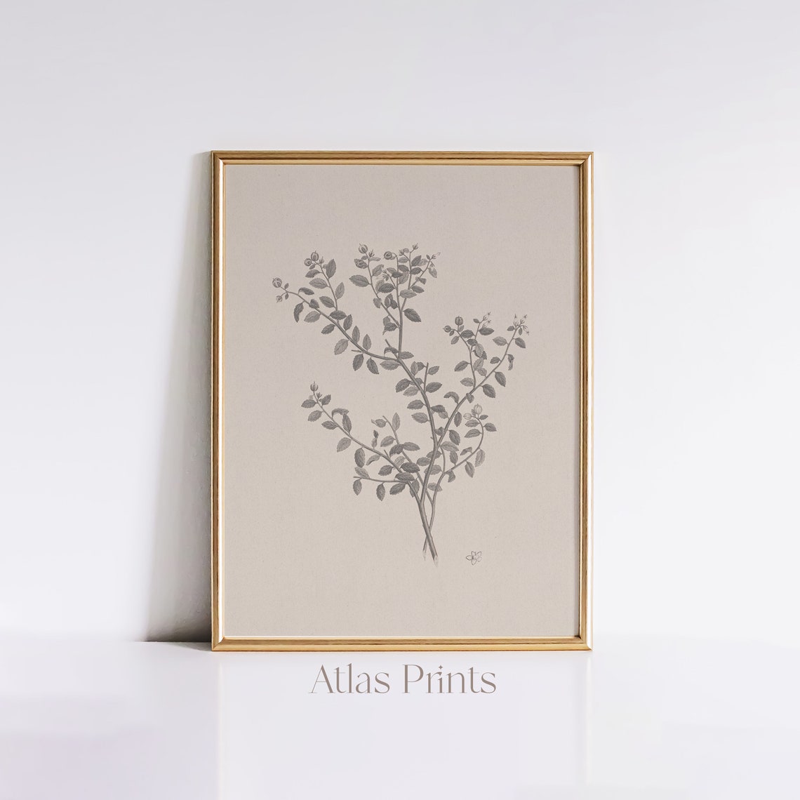 Elegant Minimal Grey Leaf Sprig Botanical Sketch Vintage Wall Art