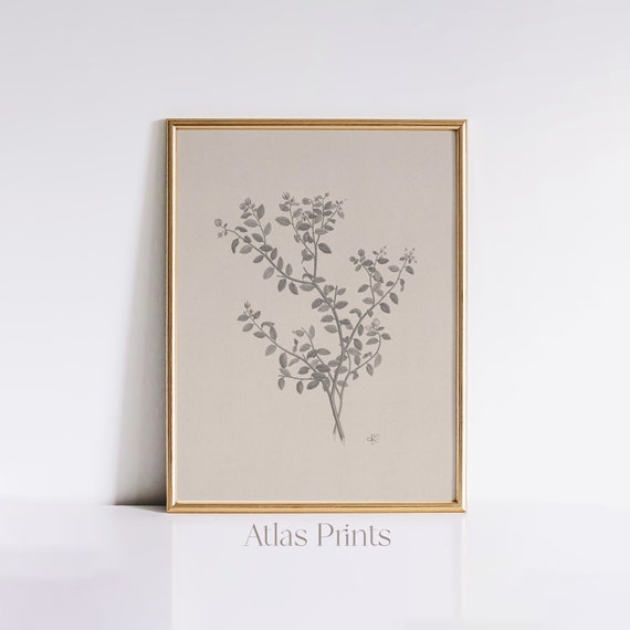 Vintage Botanical Sketch Print Floral Bw Pencil Drawing Moody Rustic Decor Flower French Country Wall Art
