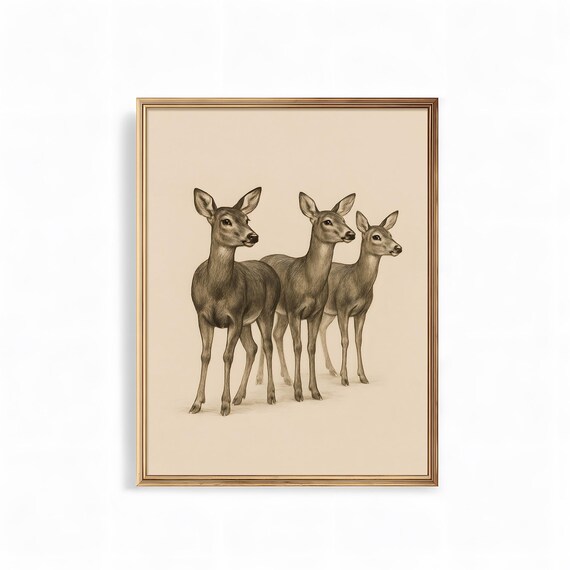 Three Deer Vintage Sepia Wildlife Illustration Art Poster Decor