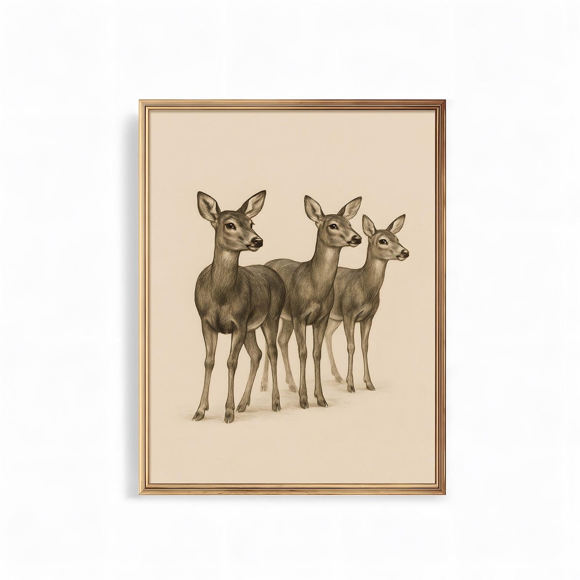Three Deer Vintage Sepia Wildlife Illustration Art Poster Decor
