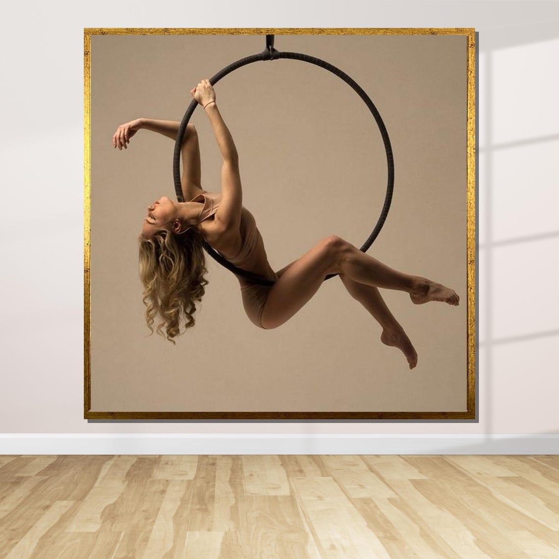 Aerial Hoop Dancer Elegant Aerialist Performance Art Dance Poster