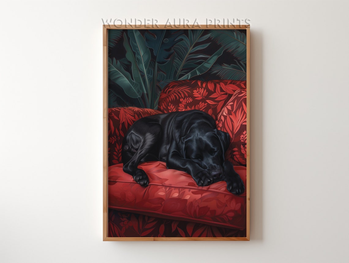 Sleeping Black Labrador Dog On Cozy Red Floral Sofa Wall Art