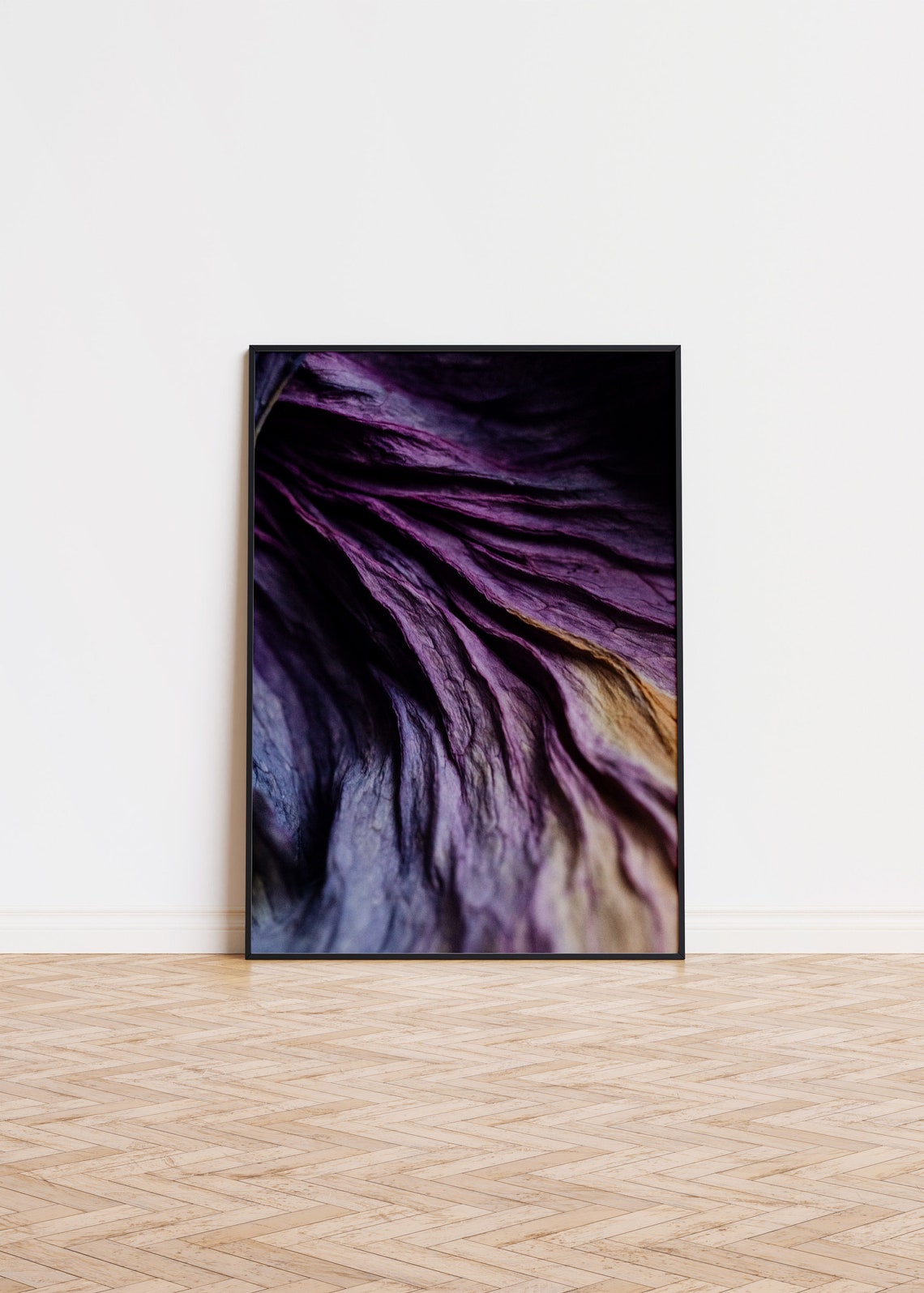 Dried Purple Flower Macro Photography Dark Petal Detail Moody Print
