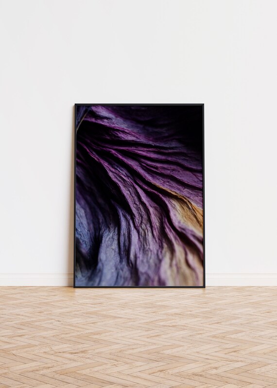 Dried Purple Flower Macro Photography Dark Petal Detail Moody Print