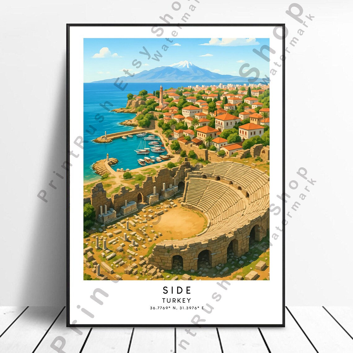 Turkey Side Travel Poster Illustration Art Print