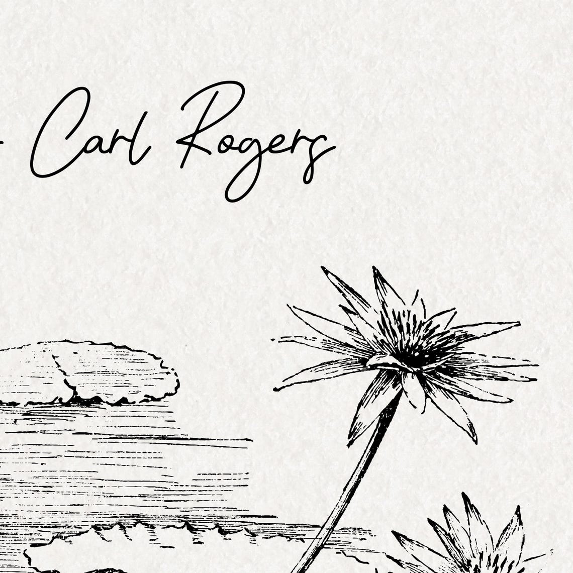 Carl Rogers Vintage Water Lily Sketch Botanical Ink Drawing Art Poster
