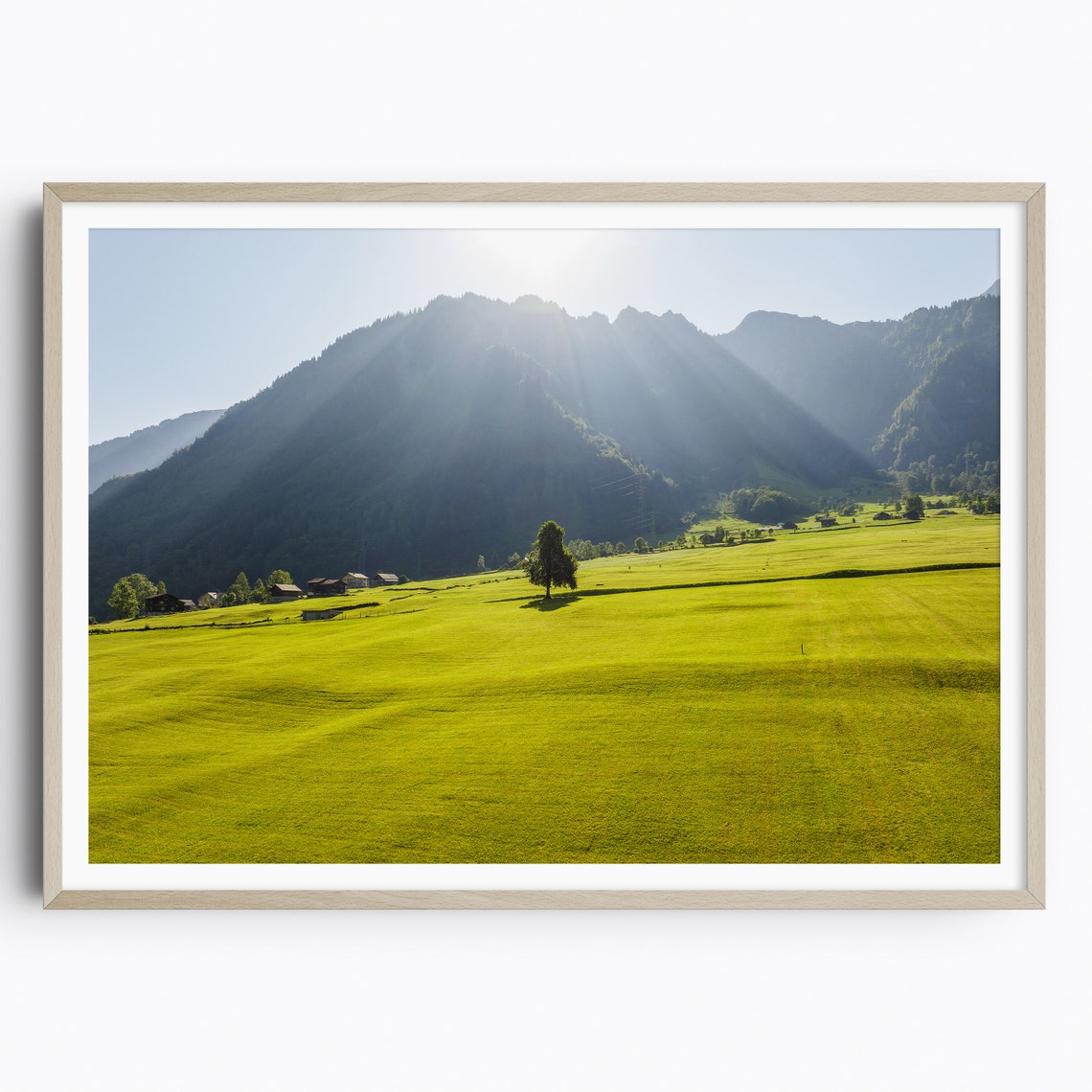 Sunlit Green Meadow with a Lone Tree Under Mountain Sunbeams Poster