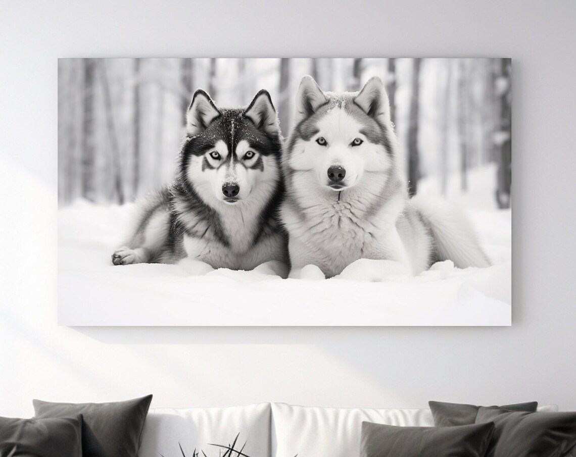 Two Huskies Snow Winter Dogs Sled Dog Pair Wildlife Animal Art Poster