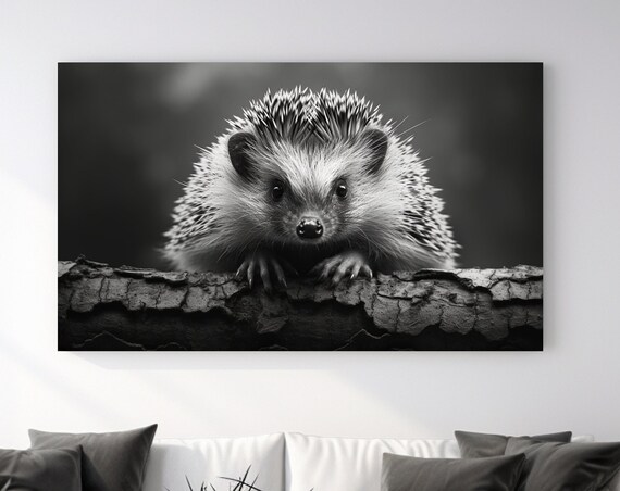 Cute Hedgehog Black And White Close Up Wildlife Photography Poster