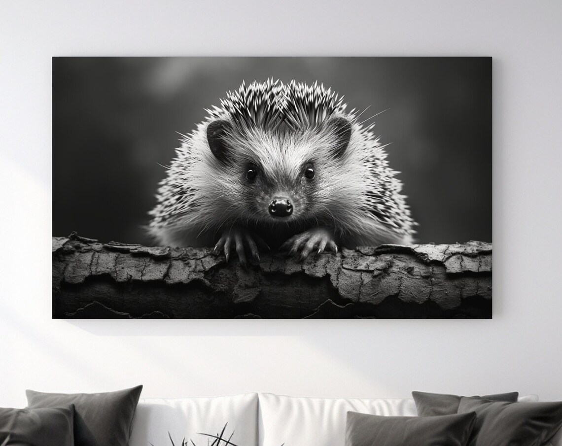 Cute Hedgehog Black And White Close Up Wildlife Photography Poster