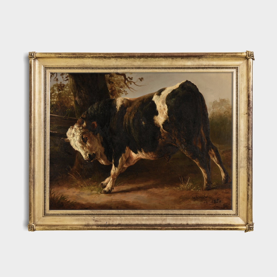 Printed And Shipped Vintage Animal Print Antique Bull Painting Farm Animal Art Farmhouse Decor Fine Art Physical Art Print - Image 2