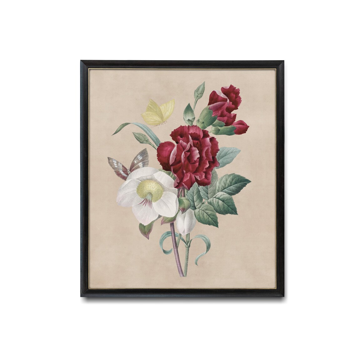 Vintage Botanical Flower Print, Antique Floral Art Print - Image 2