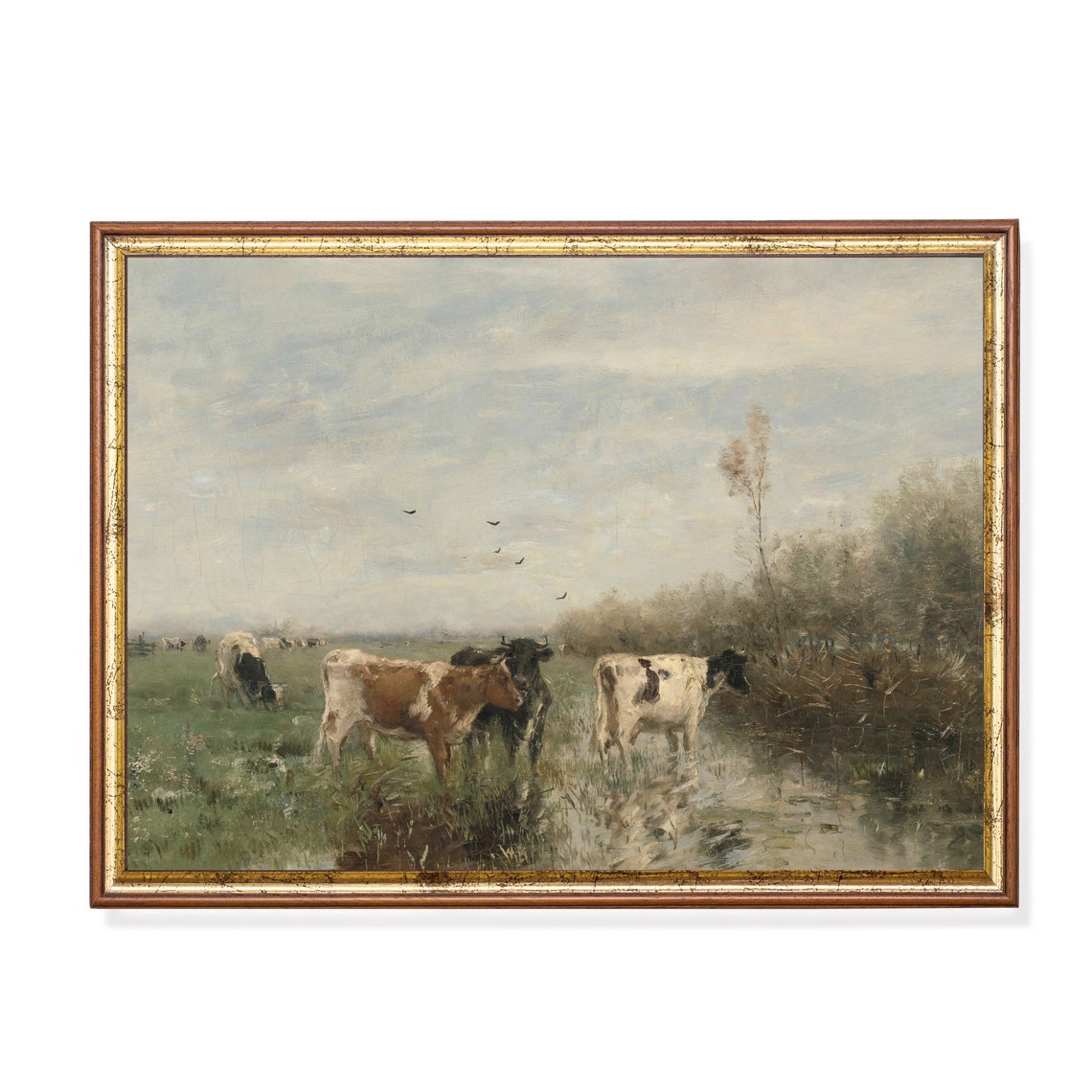 Cows Drinking in a Marshy Meadow Rustic Dutch Style Art Poster