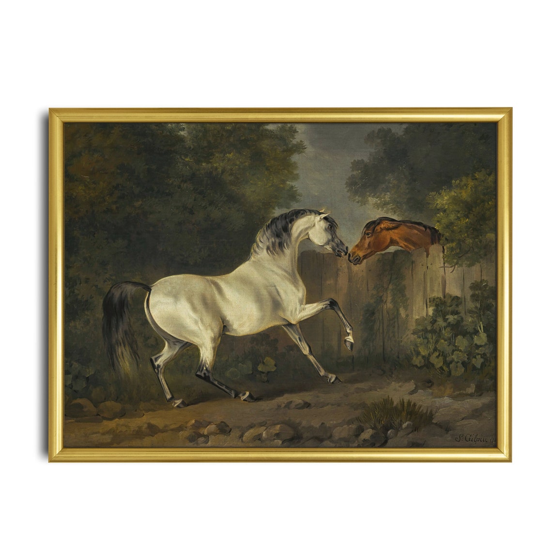 White Stallion Greeting a Bay Horse at the Fence Equestrian Poster - Image 3