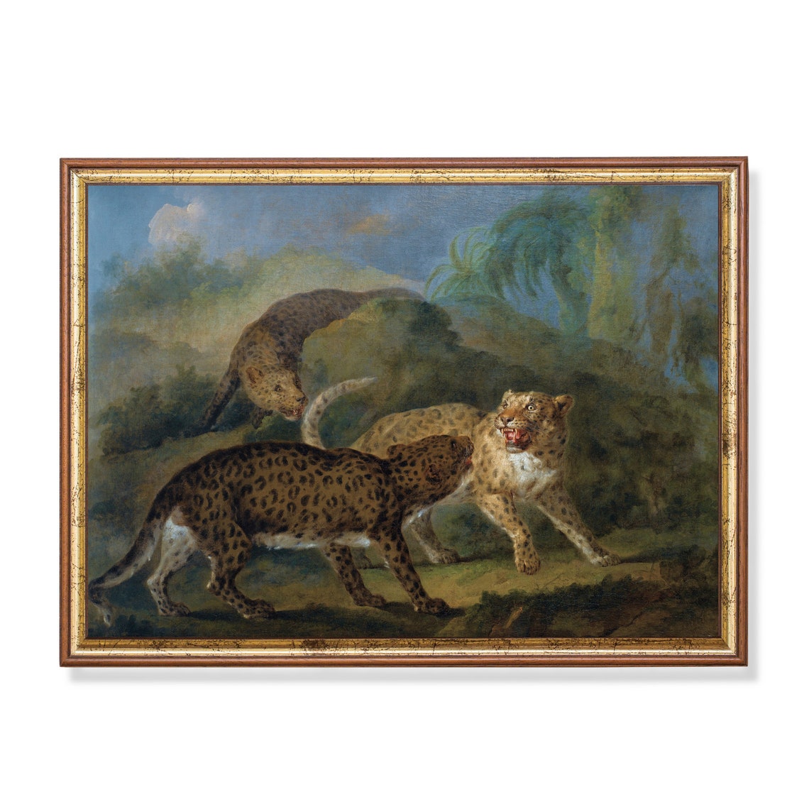 Three Leopards in a Tropical Landscape Dramatic Wildlife Poster
