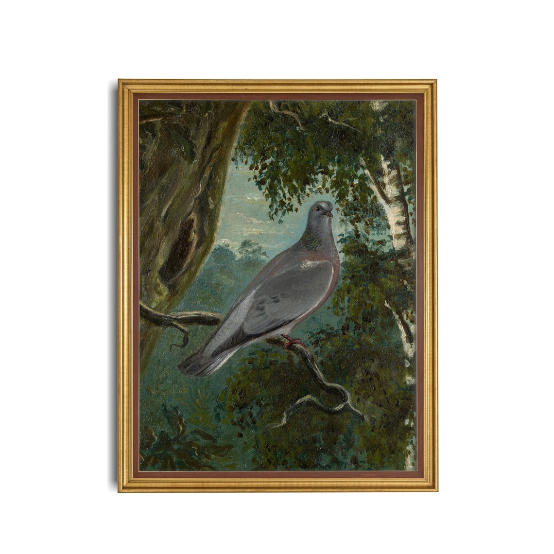 Gray Wood Pigeon Perched on a Mossy Branch in a Woodland Poster - Image 3