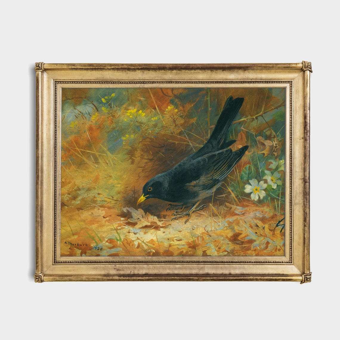 Eurasian Blackbird Foraging Among Fallen Autumn Leaves Poster - Image 2