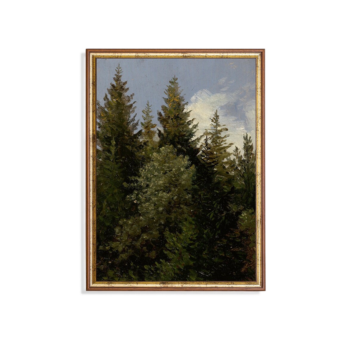 Pine Tree Antique Forest, Rustic Nature Art Print