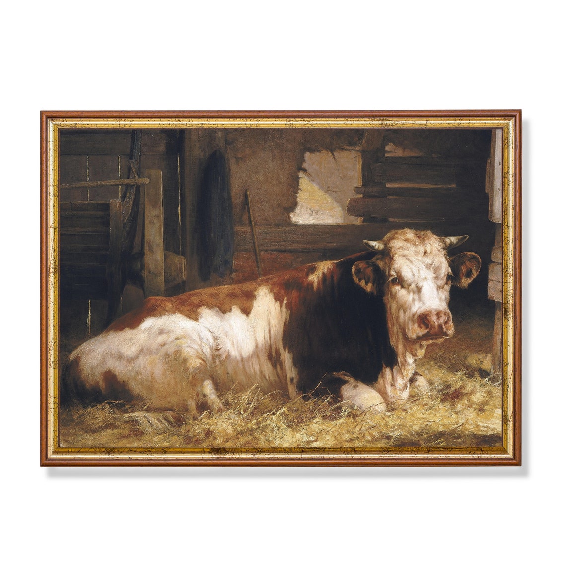 Vintage Cow Resting in Straw Barn Farm Animal Painting Poster