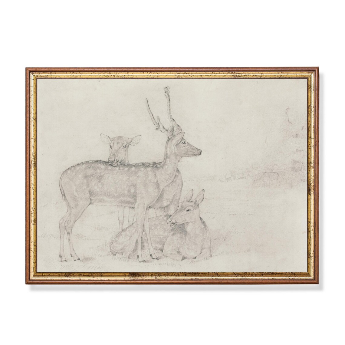 Vintage Deer Sketch Art Print, Farmhouse Decor