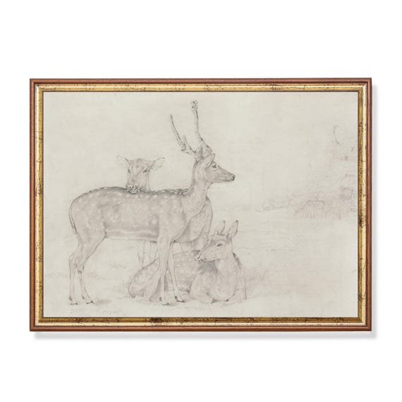 Vintage Deer Sketch Art Print, Farmhouse Decor