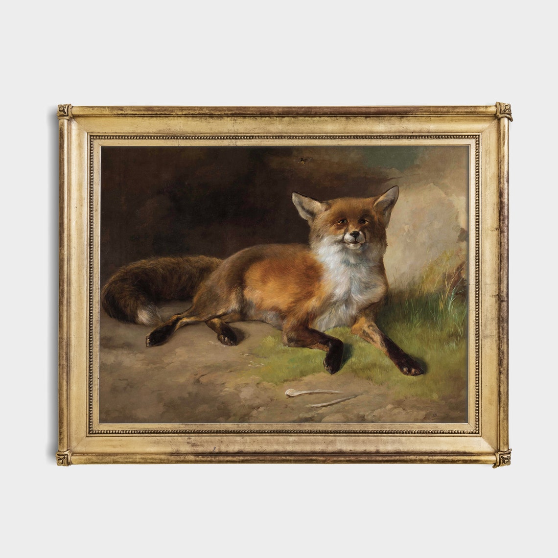 Red Fox Resting in Grass Vintage Realistic Animal Portrait Poster - Image 3