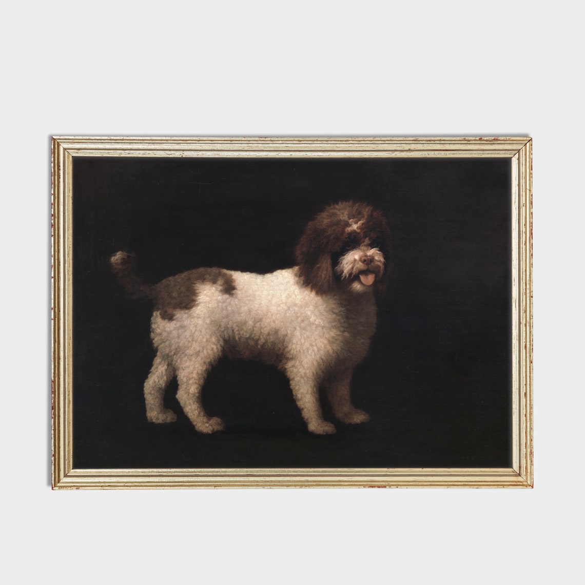 Brown and White Curly Coated Dog Against a Dark Background Poster - Image 2