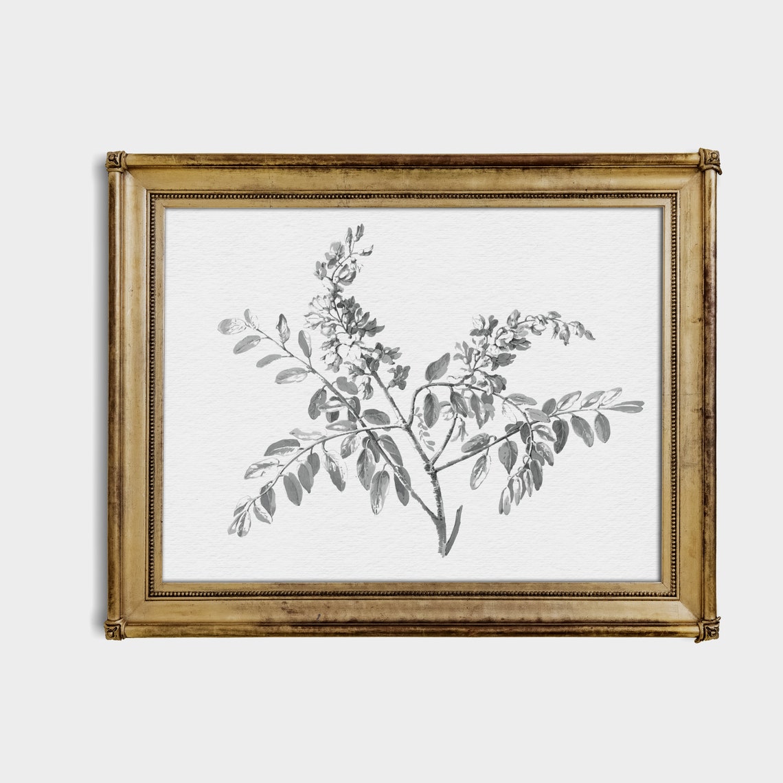 Delicate Branch Botanical Sketch Neutral Gray Line Art Poster - Image 3