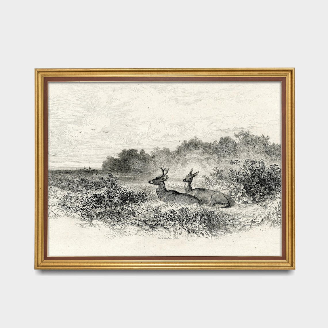 Vintage Deer Sketch, Neutral Farmhouse Art Print - Image 3