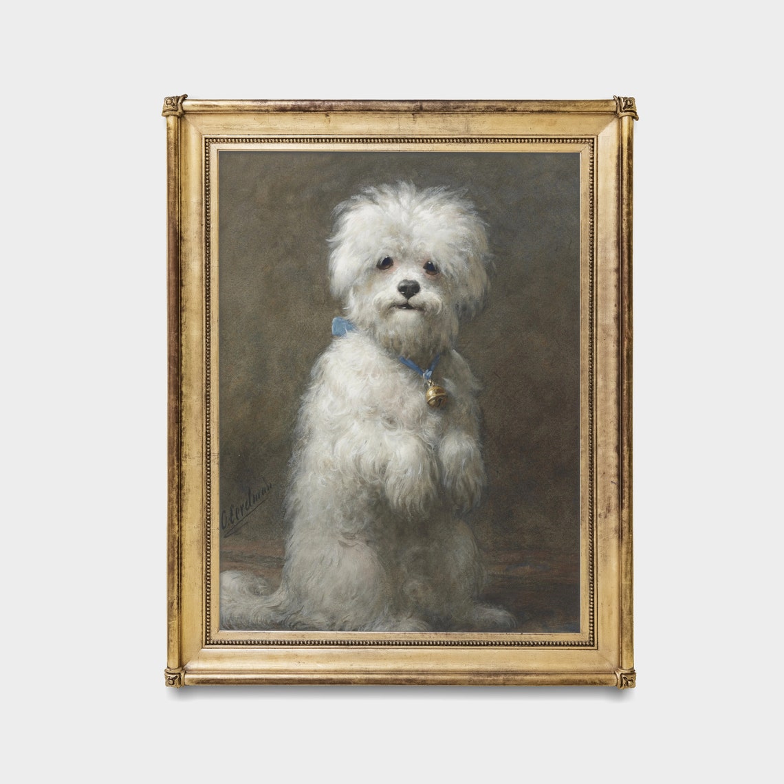 Antique White Lapdog Portrait Blue Collar Bell Pet Painting Poster - Image 3