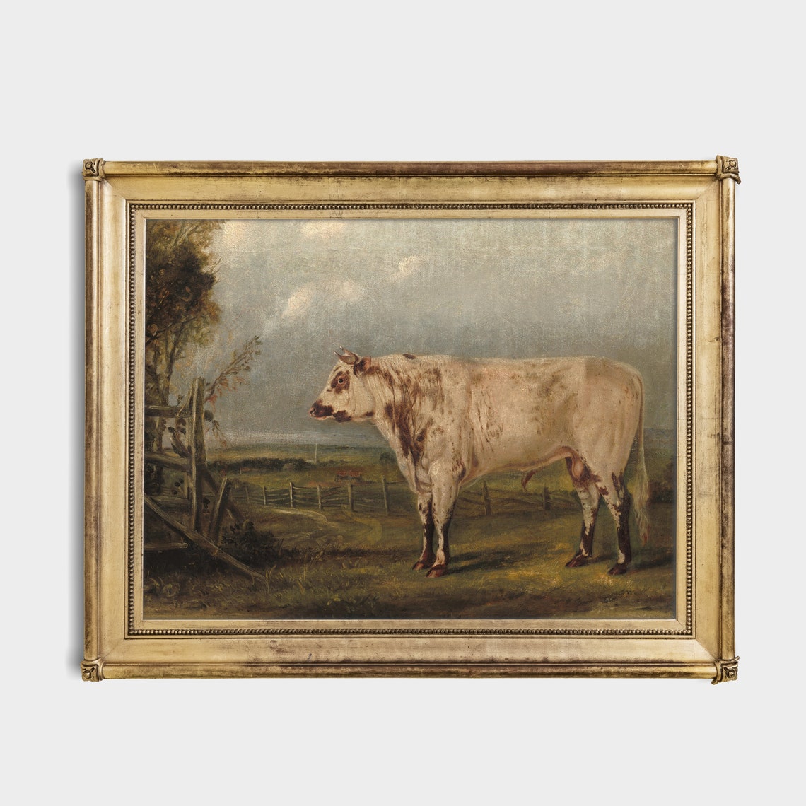 Roan Bull Standing in a Pasture Antique Livestock Painting Poster - Image 2