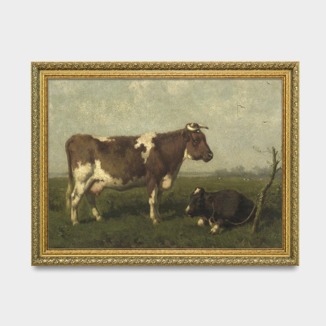 Two Cows in a Green Pasture One Standing and One Resting Poster - Image 3