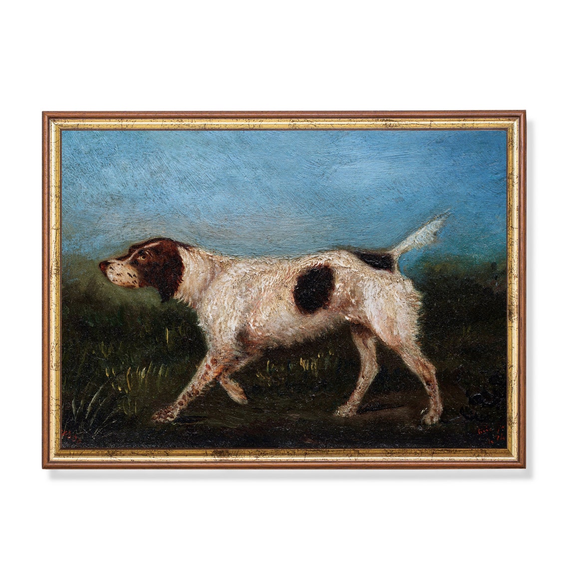 Pointer Hunting Dog on Point in a Field Vintage Sporting Poster
