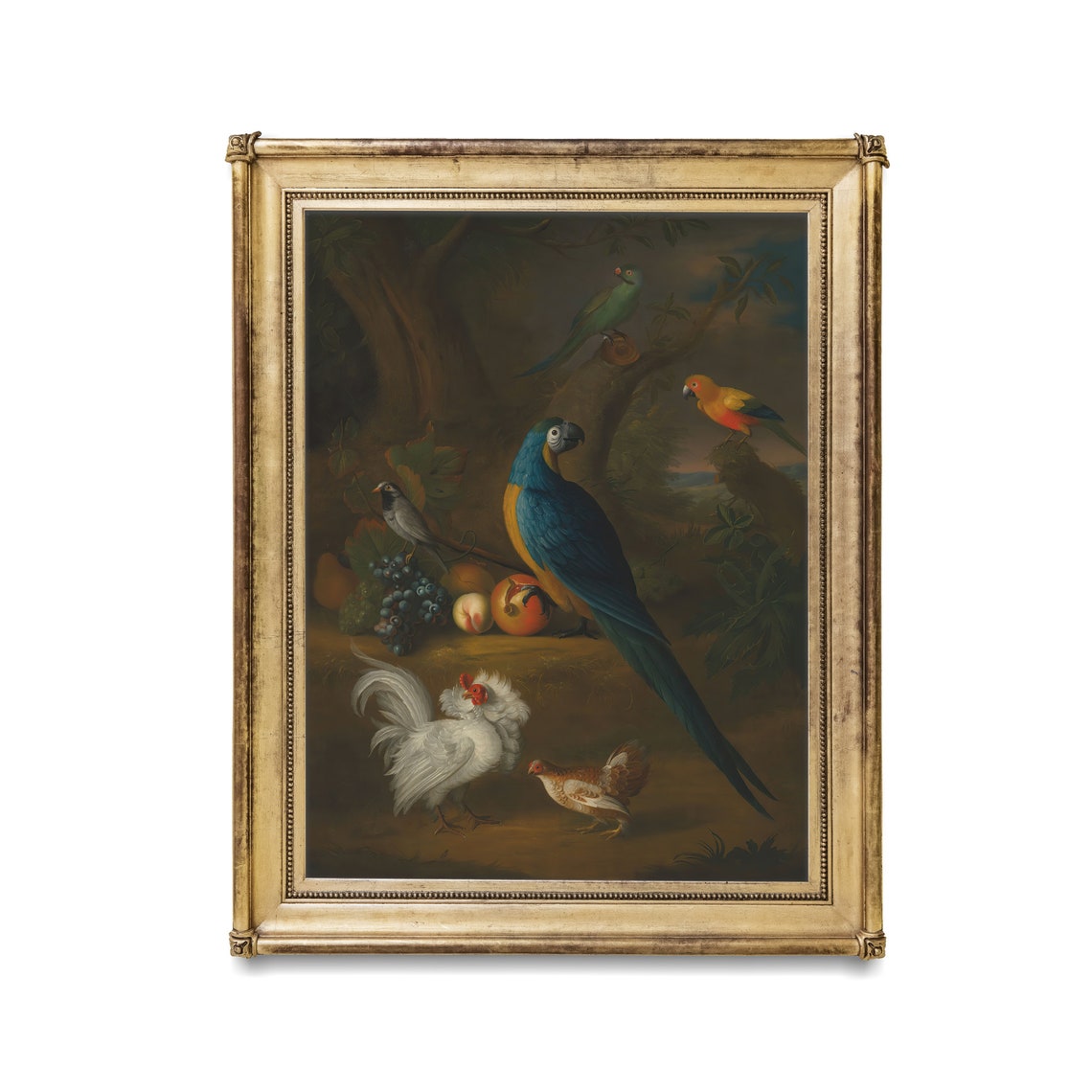 Blue and Gold Macaw With Fresh Fruit in a Dark Woodland Poster - Image 2
